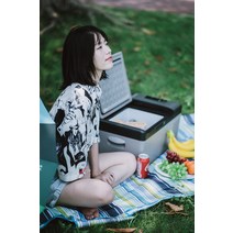 캠핑용 차량용 소형 냉장고 냉장 냉동 12v 24v, N 가정용/차량용 냉장고