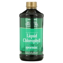 버리드 트레져 건강 보충제 액상 엽록소 스피어민트 맛 영양제 480ml, 기본