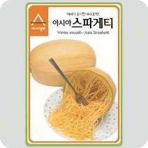스파게티 국수 호박 씨앗 25립 호박씨앗
