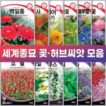 세계종묘 꽃 허브 씨앗 일년생 다년생 노지월동 야생화, 겹꽃봉선화 100립