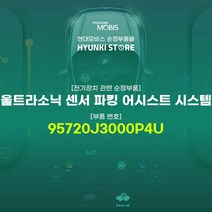 현대모비스 울트라소닉 센서 파킹 어시스트 시스템 (95720J3000P4U)