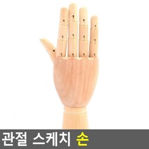 예고 인물정밀화 소묘보조용 오른손 모형 드로잉연습 스케치 미술시간 인형 뎃생