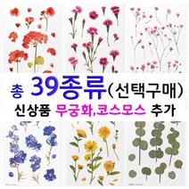 압화스티커 36종 다꾸 폰꾸 폴꾸 꽃스티커 팬시스티커, 락스퍼