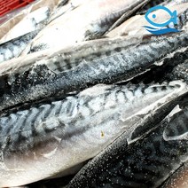 도매 노르웨이 고등어 20kg 400600 약 42미 대용량, 단품