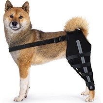 강아지 관절 영양제 관절약 보조제 Minatee Dog Knee Brace Leg Braces with Metal Hinged Flexible Support and Reflecti, [01] Small
