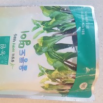 국내산 울릉도 산마늘 명이나물 절임나물 장아찌 1kg, 500g(파우치) 2개, 본상품선택