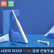샤오미 미지아 T100 음파 전동칫솔 USB 충전식 휴대용 IPX7급 방수, 1개