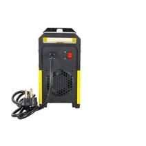 W Weldpro 200 Amp 인버터 아크/스틱/리프트 티그 (옵션 토치 가능) 이중 전압 220V/110V 용접기 1281447