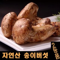 진심좋은 2023년 자연산 송이 버섯 자연 송이버섯 1kg, 1box, 2등급8cm이상 500g