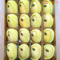 [더달] 필리핀 열대과일의 여왕 5kg(16과), 1box, 5kg