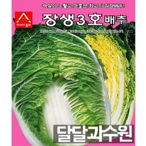 아시아종묘 장생3호 씨앗 종자김장배추 씨앗종자 배추씨앗 장생배추, 1000정