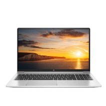 HP 2021 프로북 450 G8 38.1cm 인텔 i7-1165G7 MX450, WIN10 Pro, 실버, 16GB, 1TB, 코어i7, HP ProBook 450 G8