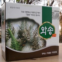 생와송으로 만든 와송즙 100mlx60포 / 레티놀 와송진액 부모님건강 비타민B2 선물세트
