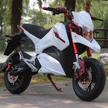 모터사이클 성인 산악 이륜차 오프로드 바이크 전기 스쿠터 오토바이 전동 AK 크로스컨트리, 72V 이상, 다섯 72V3KW