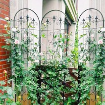 철제 정원 화단 장미펜스 포도 나팔꽃 지주대 트렐리스, 대형 (흰색) 높이 2.2m 폭 50cm