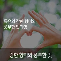 케냐AA 1kg 세계가인정한아라비카커피 특유의강한향미 풍부한맛과향 당일로스팅 신선한원두, 더치분쇄