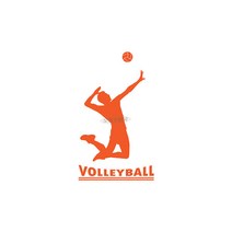 오피스왕국 배구 volleyball1 스포츠 그래픽 스티커, 오렌지
