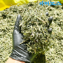 이커노스 국내산 세척 건조 야관문 비수리, 300g