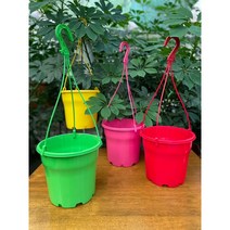 컬러플라스틱화분 P200) 걸이화분 행잉화분 행깅화분 분갈이화분, 컬러고리(옐로우)
