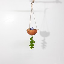 *쟈스민 식물* 피시본 행잉걸이, 1개