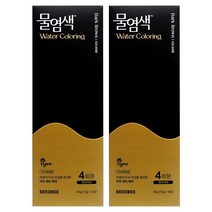 씨드비 수작 물염색 8회분, 와인브라운, 2개