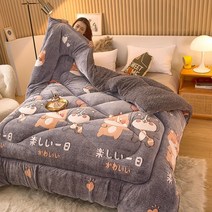 양털 캐시미어 이불 따뜻한 두꺼운 겨울 밍크담요, X