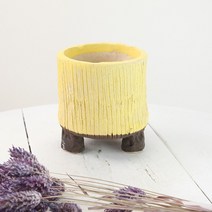 [인아트스튜디오] 국산 소형 사계 (원형) (7종/택1) - 원형 다육 예쁜 도자기 금 분재 꽃 넓은, 3-옐로우