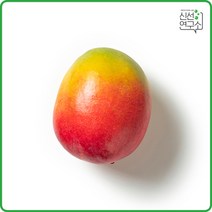 [신선연구소]과일엔 항공직송 페루 켄트 애플망고 4-6과 1.6kg내, 단품