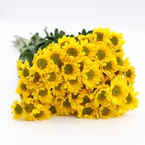 소국 노랑 생화택배 (고속터미널꽃시장 직배송) 꽃예꽃, 비슷한 느낌의 꽃으로 변경(다른꽃or다른색), 최소3일전 미리 구매시 날짜지정가능, 1개