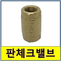 판체크밸브 판체크발브 체크밸브 신주 청동 입상식 수도 체크밸브, 1개