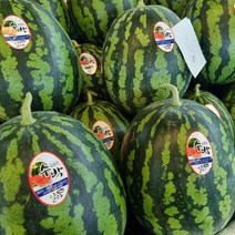 고당도 꿀수박 프리미엄 비품 수박, 프리미엄급(수박)4kg, 1개