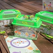 곤충채집통+관찰일지, 곤충채집통 UDPPT0050