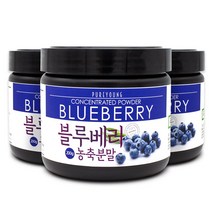 퓨어영 블루베리농축분말 200g, 3통