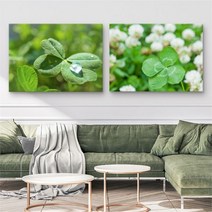 셀러허브 행운 가득 네잎클로버 그림 액자 No1 8 캔버스 20호, 3번／20호73x53cm(캔버스액자옆면흰색)