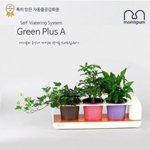 sioncompan맘스품 무동력 자동급수시스템 화분+화초 시리즈_K세트)무 물순환 쿠아리 플라스틱 컬러 미니 인테리어 식물 공기정화식 식믈 청정식 그린--SC, 이상품보내주세요, 이상품보내주세요