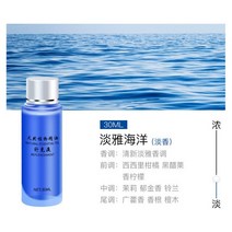 자동차공기청정기 차량선풍기 자동차 공기 청정기 테디 베어 액세서리 인테리어 향수 디퓨저 파일럿 회전, 03 2PCS Ocean