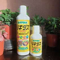 하이포넥스 리키다스 식물영양제 활력 제 칼슘 비료 발근제 석회 해거름 수산화 오스모코트, 160ml, 1개