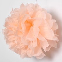 종이꽃볼 20cm 피치 벽장식 페이퍼허니컴볼 결혼 파티 연출 포토존 카페