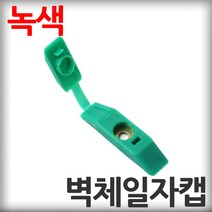 벽체일자캡 녹색 100개 직결나사캡 판넬벽체캡 육각머리나사캡 판넬용원형캡 샌드위치판넬 조립식판넬 패널