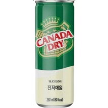 캐나다드라이 진저에일, 8개, 250ml