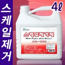 코코즈 스케일제거제 4L