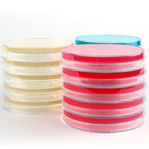 TSA(Tripic Soy Agar) (1plate)BF-405 [TSA생배지]