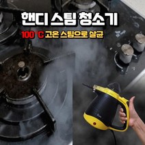 미니 살균청소기 기름때 얼룩 고온 핸디 스팀 세차 세척 분사기