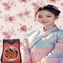 황토볼 추석 국산 노스윈드 이동식 건식족욕기 건식
