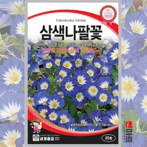 삼색나팔꽃 씨앗 20립 / 다년생 덩굴성 유럽 나팔꽃 꽃씨 꽃 봄 가을 종자 세계종묘