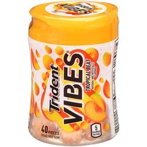 Trident Gum 트라이던트 트로피컬 비트 맛 40개입 x 2팩, 1개