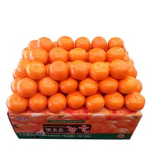 노지밀감10kg 제주감귤 서귀포밀감, 2S사이즈