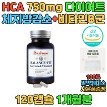 체지방 감소 감량 다이어트 비타민 멀티 복합 영양제 가르시니아 HCA 체중관리 뱃살 허벅지살 닥터브라이언 여자 남자 녹차 은행나무 추출물 B1 B2 B6 건간기능식품 보조제 선물