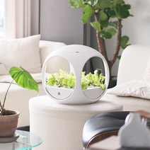 식물재배기 상추키우기 98 LED 수경재배기, 식물재배기 2개 (13%할인)