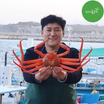 최고다농수산 홍게 산지직송 1kg 3kg 손질홍게 박달홍게 홍게도시락 자숙비용 무료, 프리미엄 홍게 3kg내외 7~10미 (자숙)